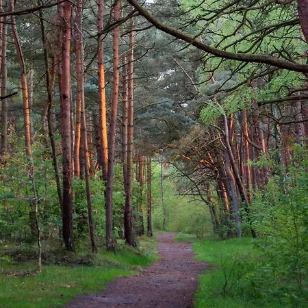 Apartment Beachfront Retreat