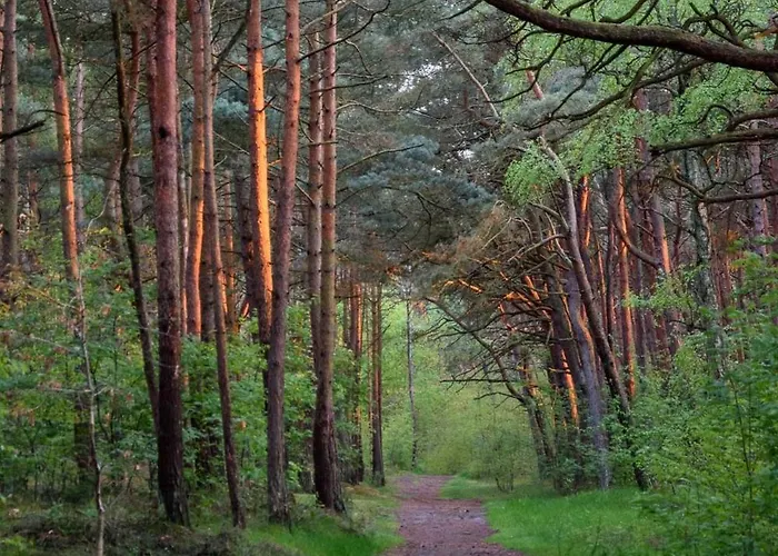 アパート Beachfront Retreat